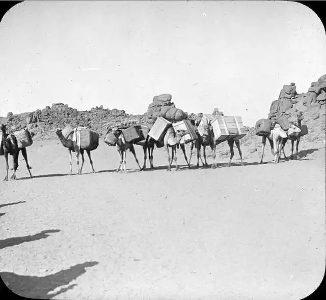 Египет без туристов