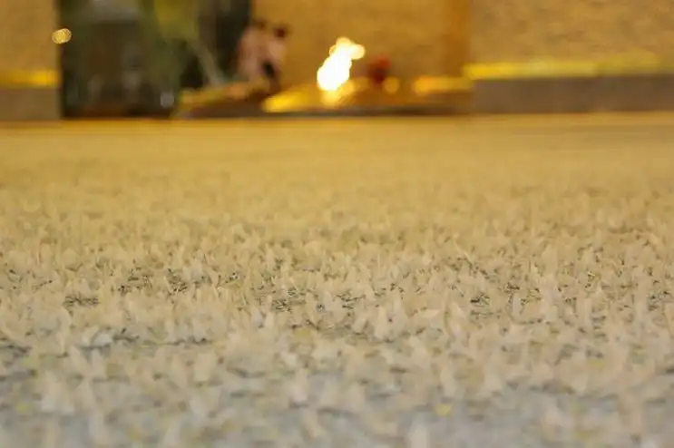 Нашествие бабочек в Беларуси