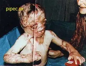 Порция жести