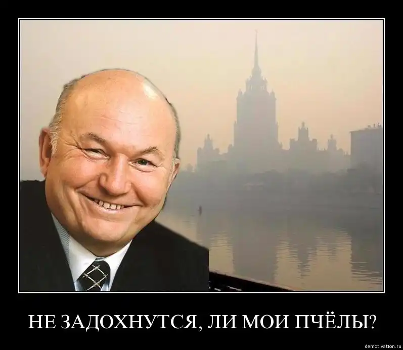 demotivation.ru