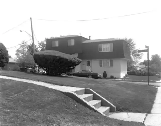 Америка в ретростиле