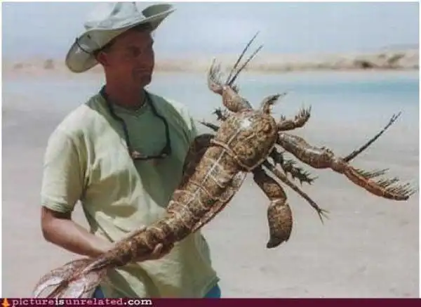 Что происходит вообще?