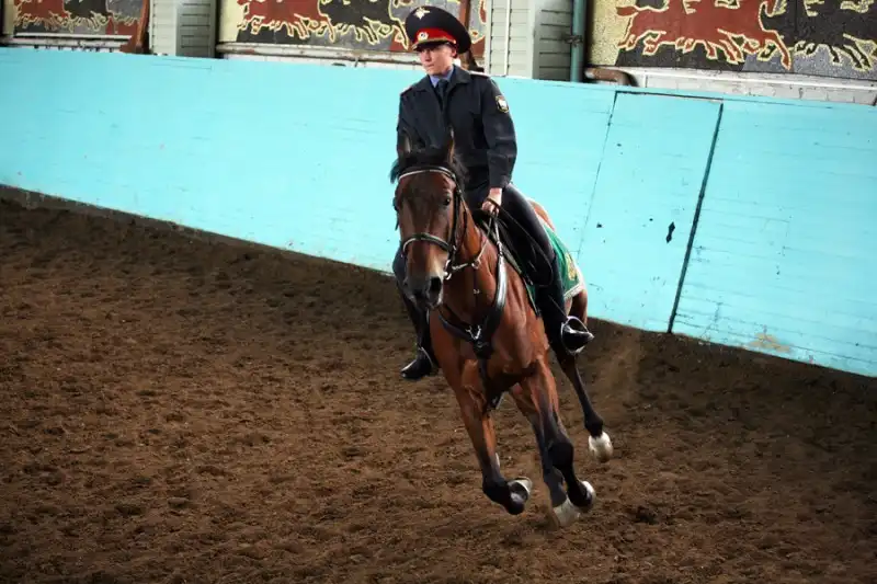 1-й оперативный полк конной милиции Москвы