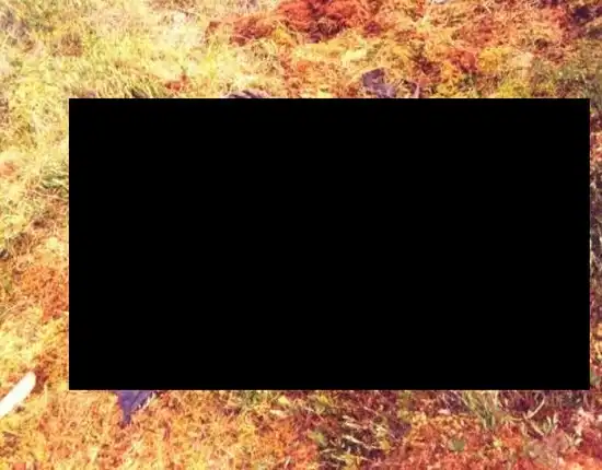 Найденный через 55 лет после гибели советский летчик Лазарев