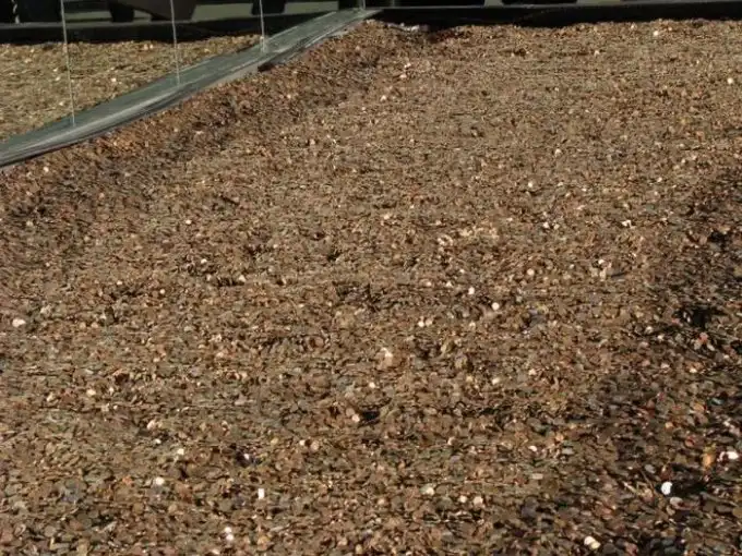 Центы, миллионы центов