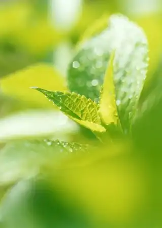 Зелёный позитиф!