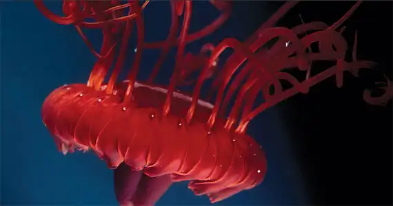 Доисторическая фауна рифа Оспри