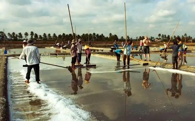 Добыча соли