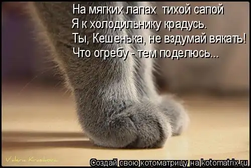 Котоматрицы
