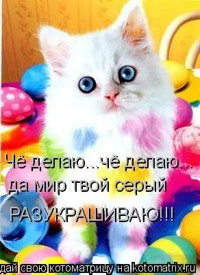 Котоматрицы