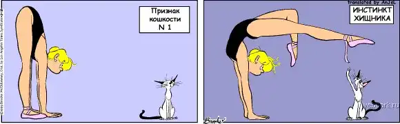 Признак кошкости (part 1)