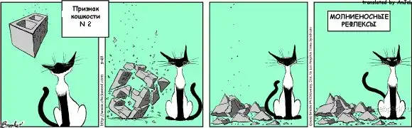 Признак кошкости (part 1)