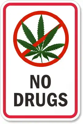 Кота торкнуло! или "Зацепило?)-часть2"