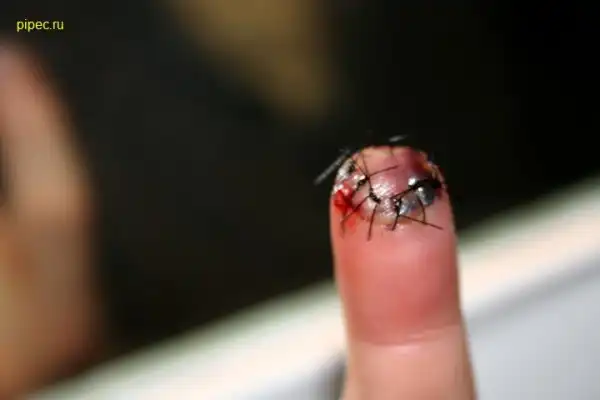 Хотели жести? Получите!