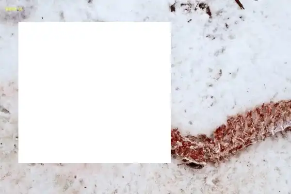 Хотели жести? Получите!