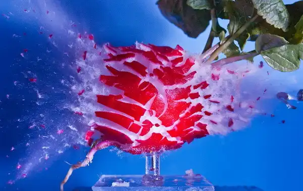 Чудовищно красиво