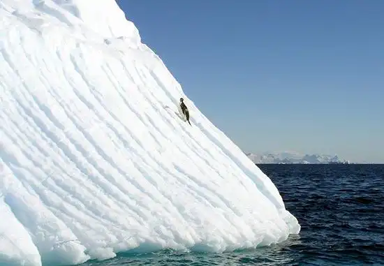 Антарктика