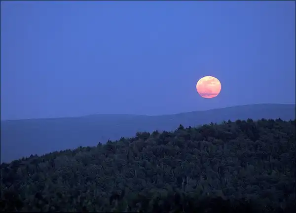 Как прекрасен этот мир!