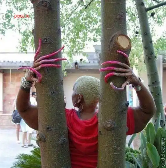 НЕ смог без сладенького ))))))