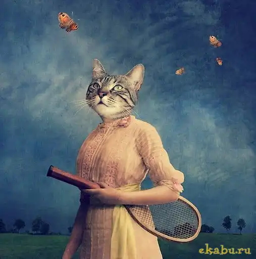 Коллажи из фотографий людей и животных