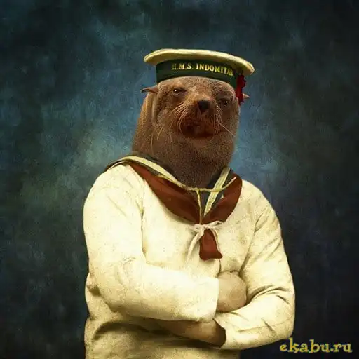 Коллажи из фотографий людей и животных