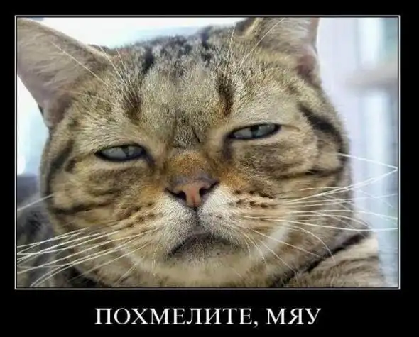 “Чернорамочные” картинки