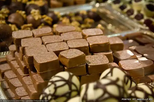 Берлинская выставка "Зеленая неделя"