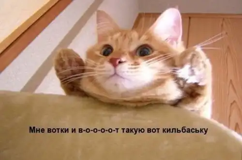 Котоматрицы