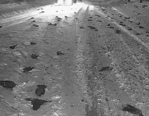 Дурная примета