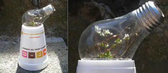 Новая жизнь, старых лампочек