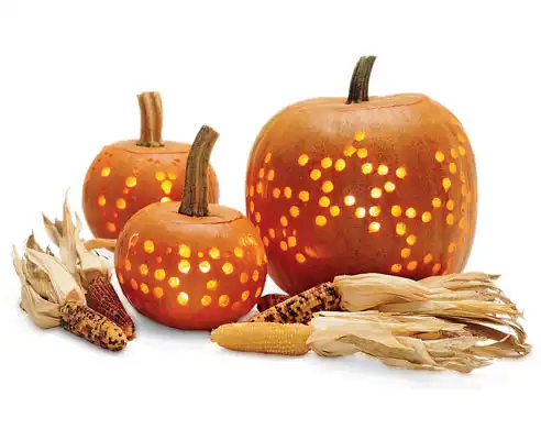 Тыквы на helloween