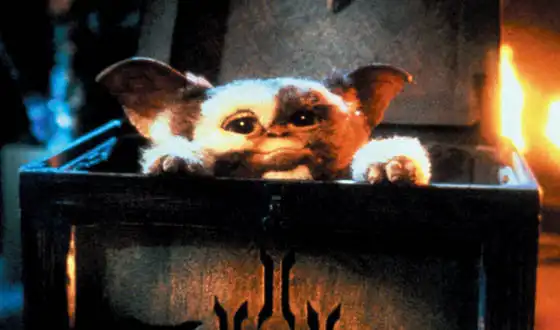 То что мы смотрели и слушали =)