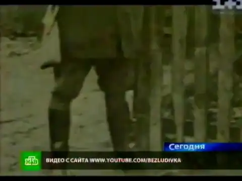 На Украине улицу назвали в честь нацистского батальона "Нахтигаль"