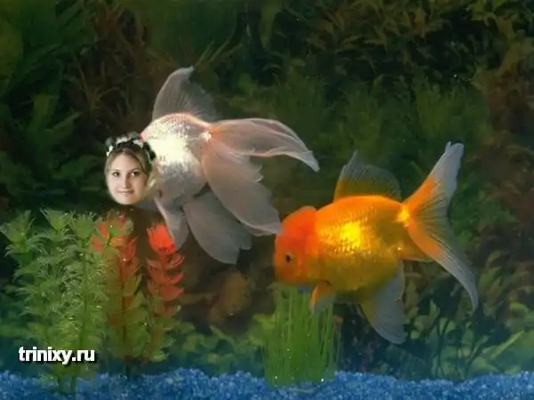 Люди, которые нас окружают. Часть 2