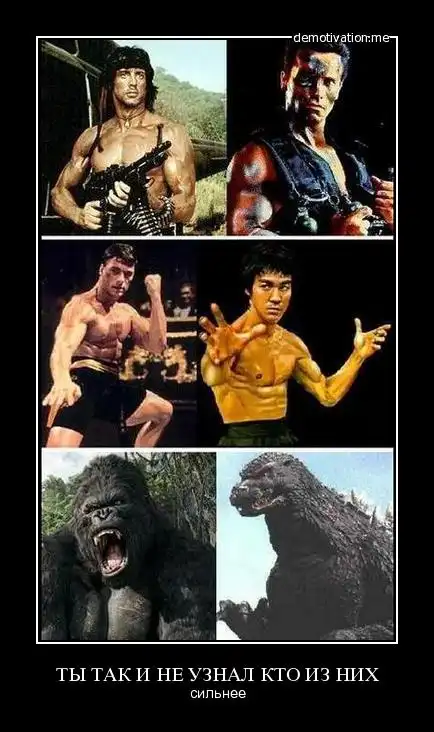 Демотиваторы (2ч)