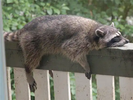 Позитивная фотоподборочка