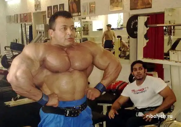 Любители синтола