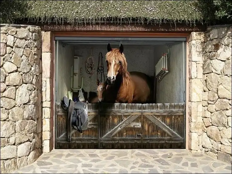 3D-рисунки на гаражных дверях от художника Томаса Зассенбаха