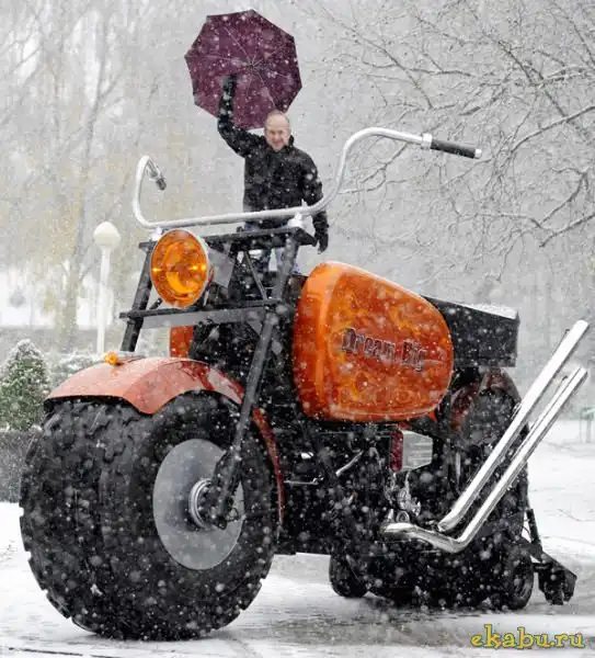 Самые большие(32 фото)