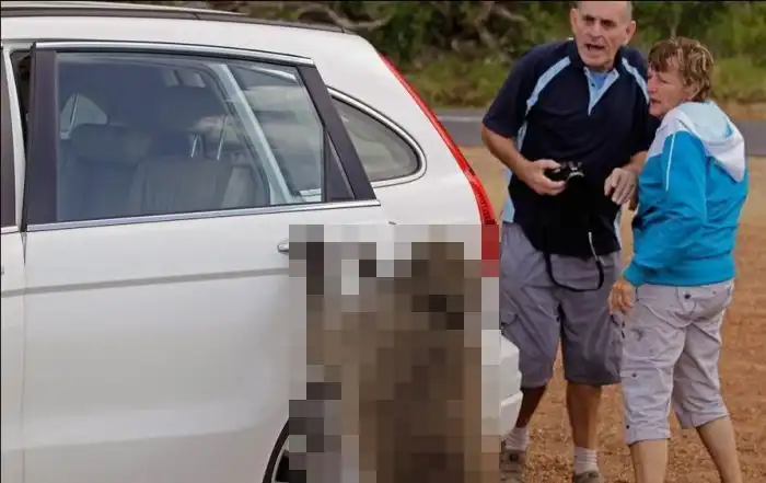 Ограбление средь бела дня (мини пост)