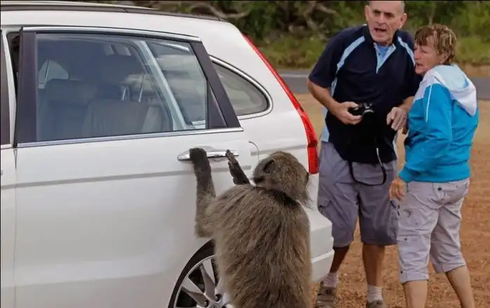Ограбление средь бела дня (мини пост)