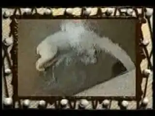 Сам себе режиссер