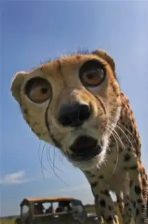 Популярные заблуждения