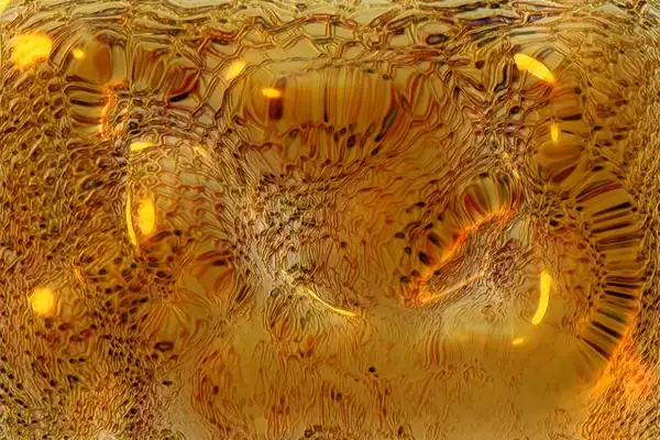 10 фактов о конфетах