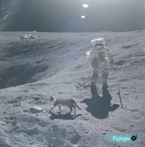 Смешная фотоподборка