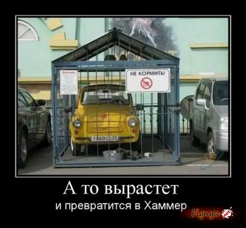 Смешная фотоподборка