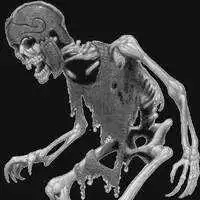 Откуда скелет на Луне?