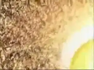 2012 год 21 декабря