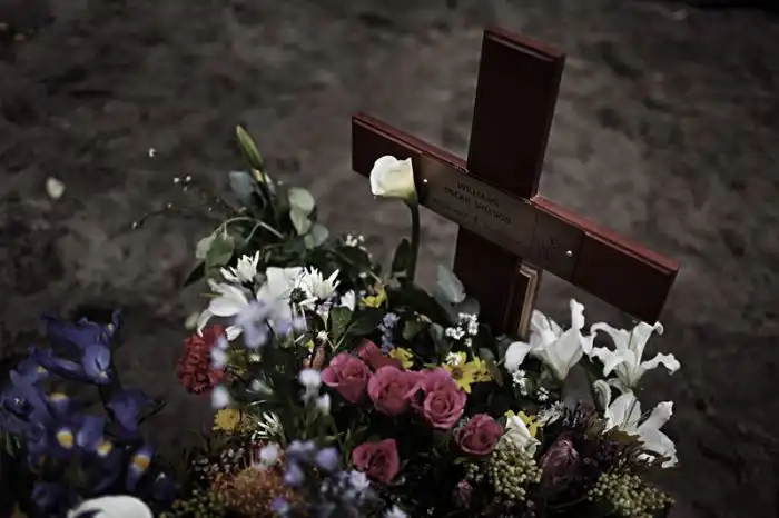 Южно-африканские банды