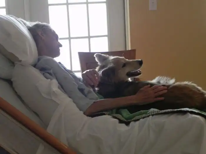 Последние желание умирающего